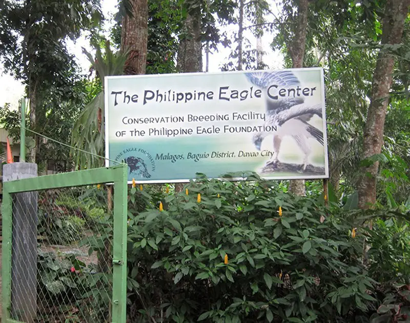 Philippines Eagle Center Davao