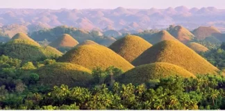 Chocolate Hills Overview