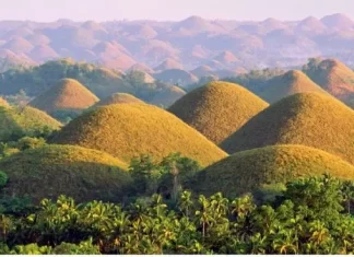 Chocolate Hills Overview