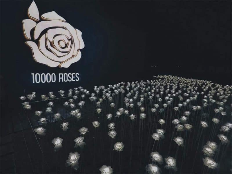 1000 Roses Cafe Logo