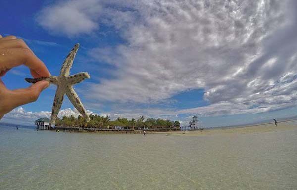 Exellent view from Nalusuan Island