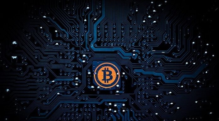 Most Important Cryptocurrencies