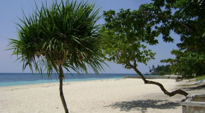 Borromeo Beach Resort