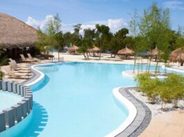 Bluewater Panglao Beach Resort