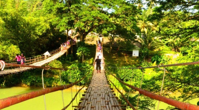 Hanging Bridge Bohol