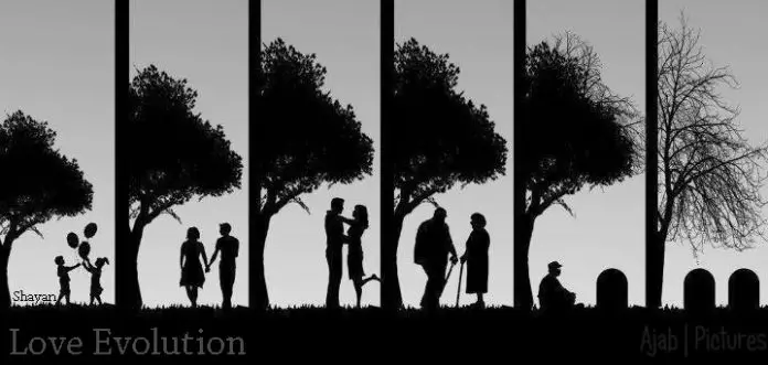 Evolution of love
