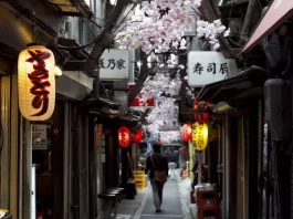 10 Things You Should Not Do When Visiting Japan