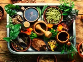 10 Herbal Plants with Potential Blood Pressure-Lowering Effects