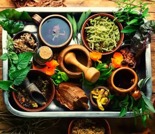 10 Herbal Plants with Potential Blood Pressure-Lowering Effects