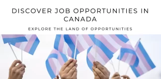 Highly Sought-After Jobs in Canada: Top 10 In-Demand Careers