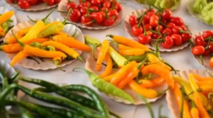 10 Amazing Health Benefits of Regular Pepper Consumption