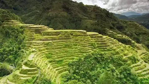 Majestic Rice Terraces