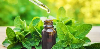 Fresh oregano leaves and the essential oil emphasize the herb's health and traditional medicine potential.
