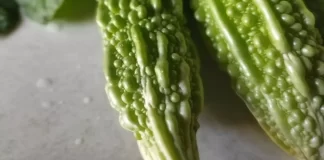 A vibrant green bitter melon with a distinct ridged texture