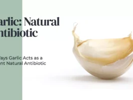 Fresh garlic cloves, a natural antibiotic with versatile benefits, offer a range of health advantages.