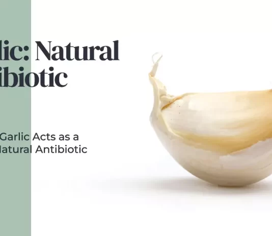 Fresh garlic cloves, a natural antibiotic with versatile benefits, offer a range of health advantages.