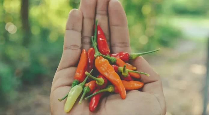 Symbolizing the potential benefits in stroke recovery