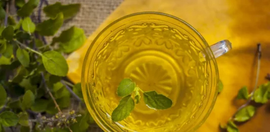 An assortment of herbs serves as ingredients in herbal remedies for arthritis inflammation.