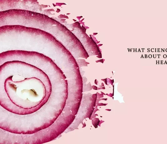 Image of a vibrant red onion, symbolizing the heart-healthy properties of onions
