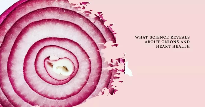 Image of a vibrant red onion, symbolizing the heart-healthy properties of onions