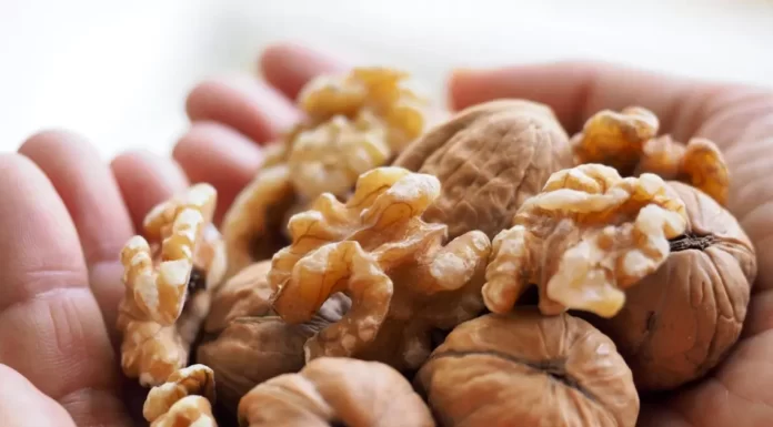 A pile of walnuts symbolizes the potential benefits of walnuts for memory and brain health.