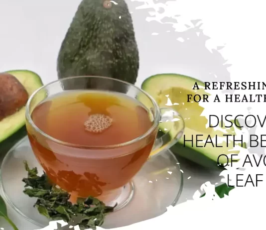 A glass of refreshing avocado leaf water showcasing the top 10 health benefits, including immune support and radiant skin.