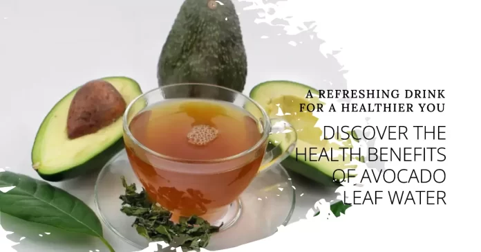 A glass of refreshing avocado leaf water showcasing the top 10 health benefits, including immune support and radiant skin.