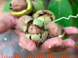 A bowl of walnuts sits on a wooden table, symbolizing natural health and nutrition.