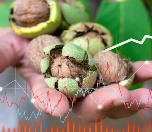 A bowl of walnuts sits on a wooden table, symbolizing natural health and nutrition.