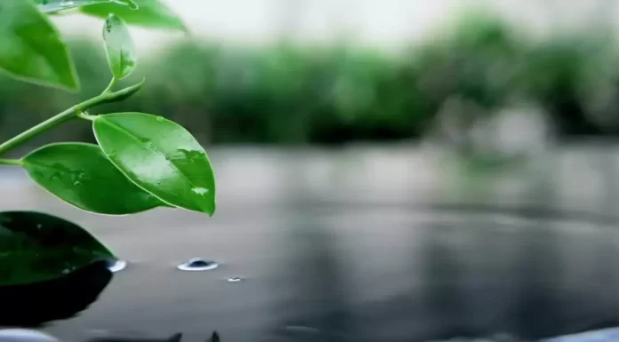 A captivating image representing the mysteries of water, from its surprising properties to scientific wonders, invites viewers to delve into the unseen facets of this essential element.