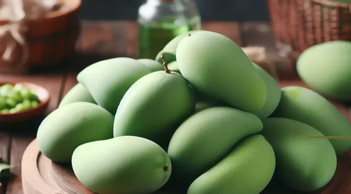 Fresh green mangoes symbolize health and wellness, offering a tangy taste and potential benefits for weight management.