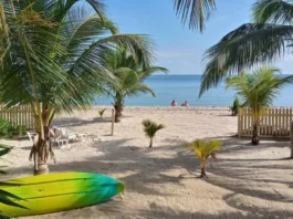 A serene beach scene with waves showcases the connection between seaside air and respiratory health for natural cough relief.