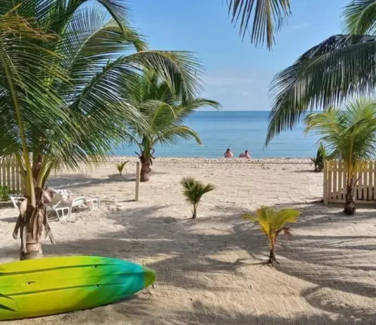 A serene beach scene with waves showcases the connection between seaside air and respiratory health for natural cough relief.
