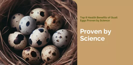 Quail eggs are arranged on a plate, showcasing their nutritional richness and the science behind their health benefits.