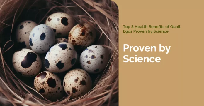 Quail eggs are arranged on a plate, showcasing their nutritional richness and the science behind their health benefits.
