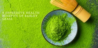 A vibrant image showcasing fresh barley grass leaves, symbolizing the natural and holistic health benefits of incorporating barley grass into your lifestyle.