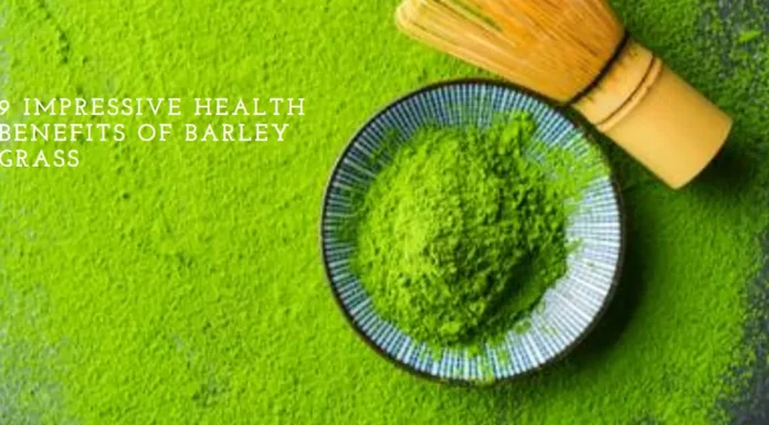 A vibrant image showcasing fresh barley grass leaves, symbolizing the natural and holistic health benefits of incorporating barley grass into your lifestyle.