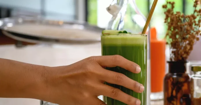 Vibrant green barley grass leaves symbolize the natural ally in your journey towards enhanced health.