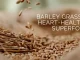 A vibrant image showcasing fresh barley grass, the green elixir contributes to heart health through antioxidants, cholesterol management, and blood pressure support.