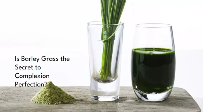 A vibrant image of fresh barley grass leaves.