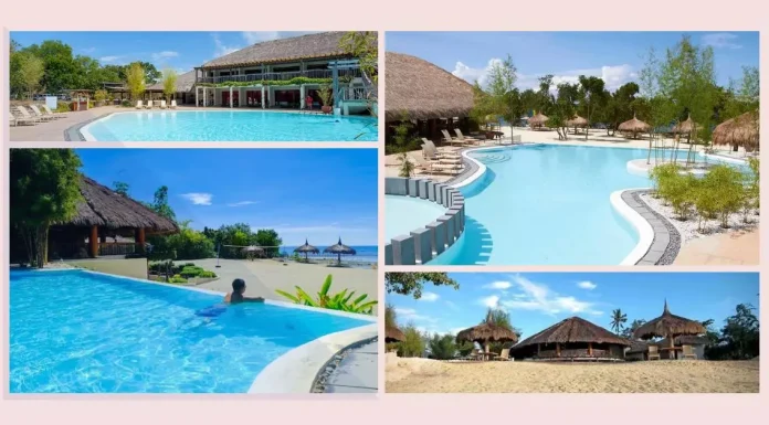 A panoramic view of Bluewater Panglao Beach Resort, where lush landscapes meet pristine waters, captures a tropical retreat's essence.