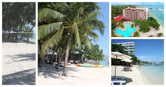 Cebu White Sands Resort and Spa invites you to experience a serene beachfront retreat surrounded by luxury and nature.