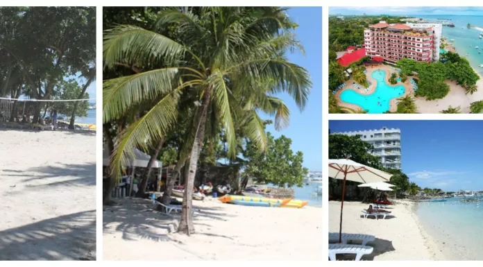 Cebu White Sands Resort and Spa invites you to experience a serene beachfront retreat surrounded by luxury and nature.