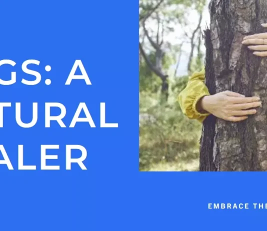 A visual depiction features an affectionate hug, symbolizing the positive impact of physical embraces on overall health and well-being.