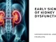 An illustrative depiction highlights kidneys amidst subtle indicators such as fatigue and changes in urination patterns, underscoring the crucial role of early detection in maintaining kidney health.