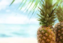 A refreshing pineapple slice symbolizing the tropical fruit's role in supporting weight loss.