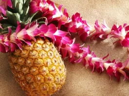 Fresh pineapple slices showcase the vibrant and healthy aspects of this tropical fruit.