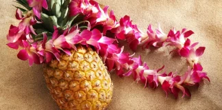 Fresh pineapple slices showcase the vibrant and healthy aspects of this tropical fruit.
