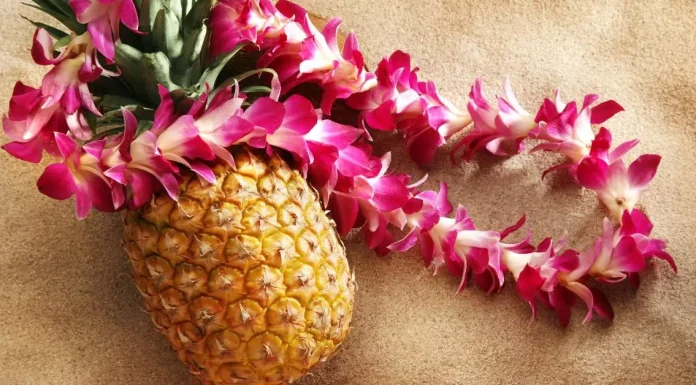 Fresh pineapple slices showcase the vibrant and healthy aspects of this tropical fruit.