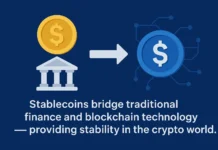 What Are Stablecoins: A Complete Guide Digital stablecoin illustration showing balance between crypto and fiat currency.
